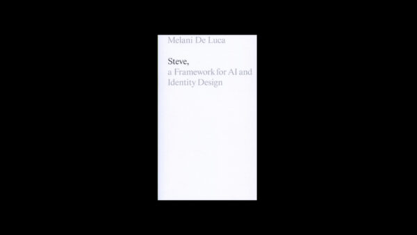 Steve: A Framework for AI and Identity Design — 	Melani De Luca - Image 2