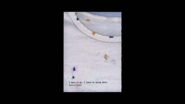 I HAVE TO GO, I LEARN BY GOING WHERE — Beatriz Banha - Image 6