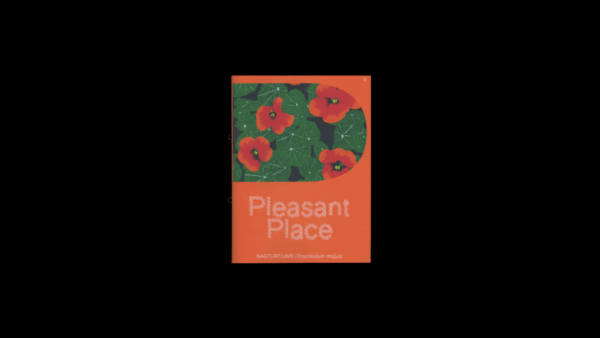 Pleasant Place 2: Nasturtiums (Tropaeolum Majus) - Image 2