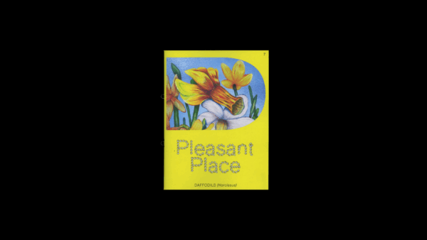 Pleasant Place 7: Daffodils (Narcissus) - Image 2