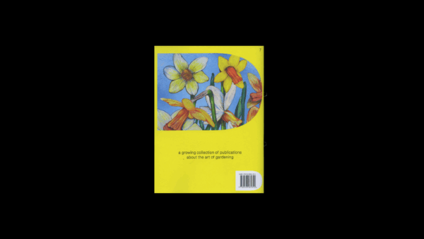 Pleasant Place 7: Daffodils (Narcissus) - Image 5