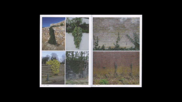 Book Of Plants — Anne Geene (new edition) - Image 3