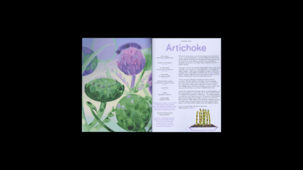 Pleasant Place 4: Artichoke (Cynara cardunculus var. Scolymus) - Image 3