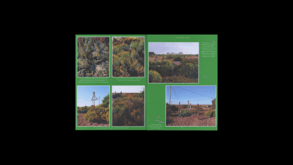 Pleasant Place 1: Enclosures - Image 4