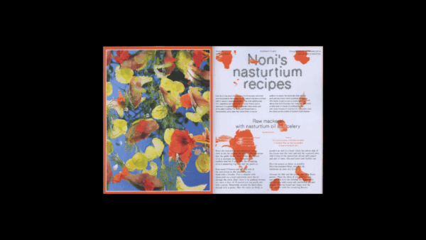 Pleasant Place 2: Nasturtiums (Tropaeolum Majus) - Image 4