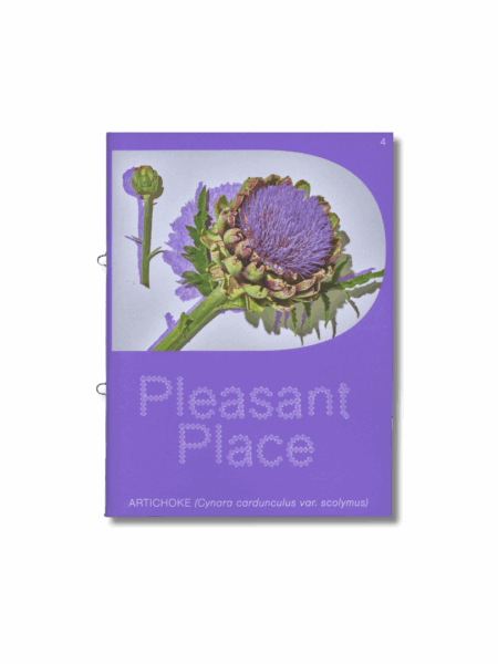 Pleasant Place 4: Artichoke (Cynara cardunculus var. Scolymus)