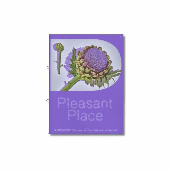 Pleasant Place 4: Artichoke (Cynara cardunculus var. Scolymus)