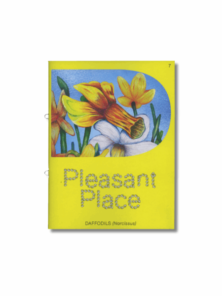 Pleasant Place 7: Daffodils (Narcissus)