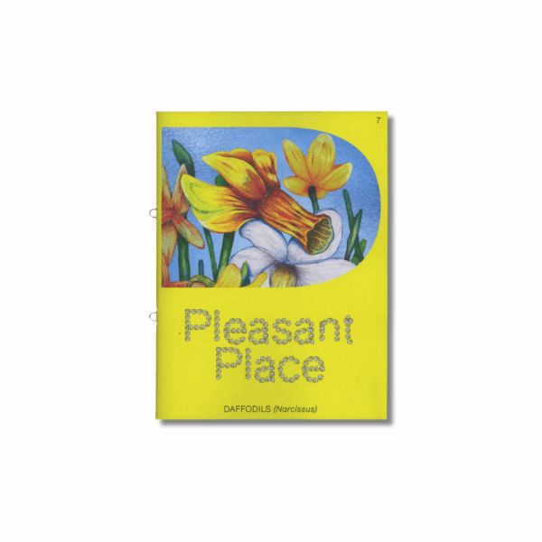Pleasant Place 7: Daffodils (Narcissus)