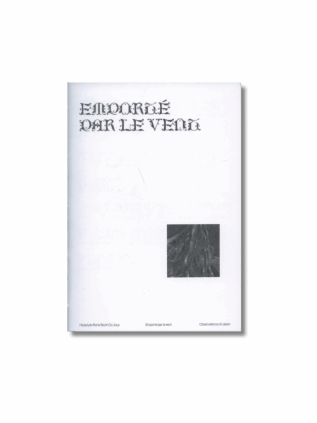 Emporté par le vent — Hippolyte Rene Bazin De Jouy