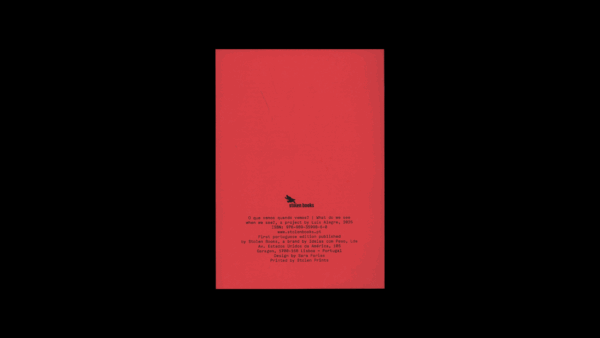 What Do We See When We See? Images, Power, and Perception in the Age of Artificial Intelligence – Luís Alegre - Image 6