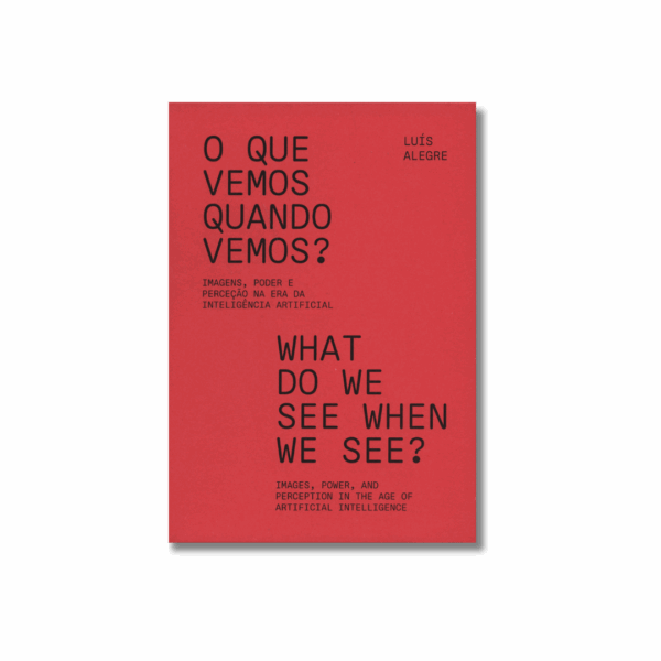 What Do We See When We See? Images, Power, and Perception in the Age of Artificial Intelligence – Luís Alegre