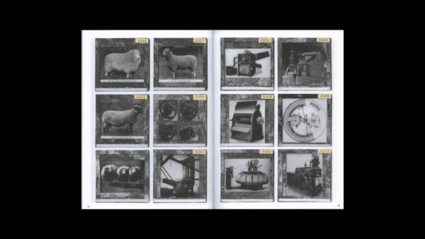 La Nonpareille / The Incomparable — Batia Suter - Image 3