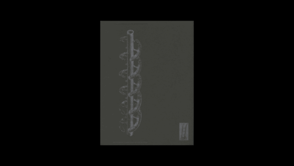 La Nonpareille / The Incomparable — Batia Suter - Image 5