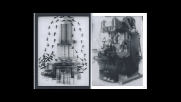 La Nonpareille / The Incomparable — Batia Suter - Image 4