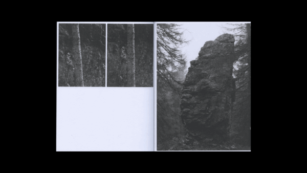 Edges of Landscape — Bas Ketelaars - Image 4