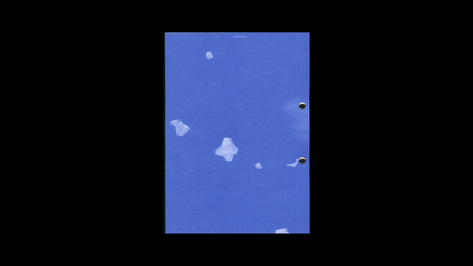 Edible Ecologies - An Artists' Recipe Book - Image 5