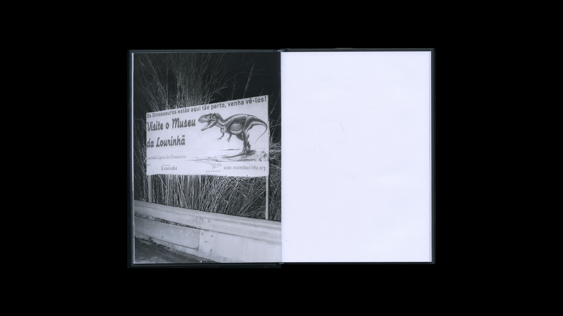 Dinotopia — João Marcelino - Image 5